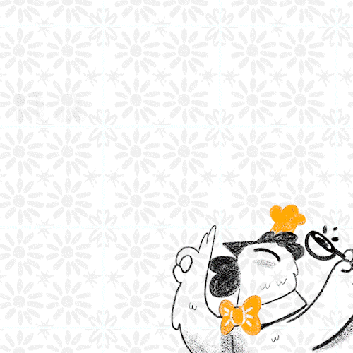 Cocina como los expertos, suscríbete a la familia Animal